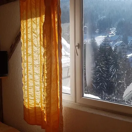 Affittacamere Sirius Club