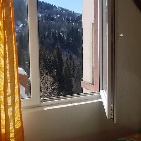 Affittacamere Sirius Club