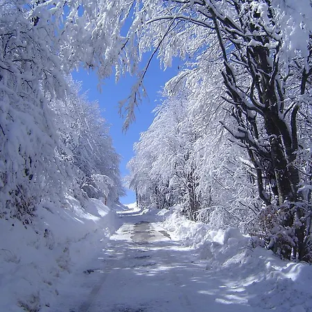 Sirius Club Affittacamere Kopaonik