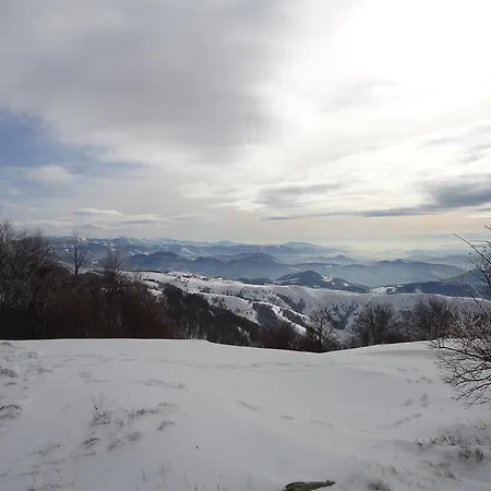 Affittacamere Sirius Club *